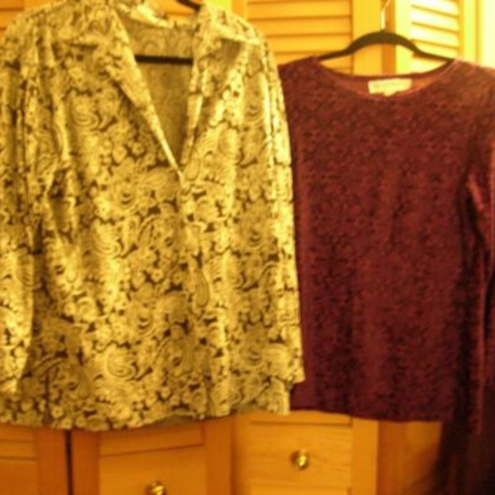 2 velvet burn out velour tops gunmetal silver wine purple M L 21" + semivtg?